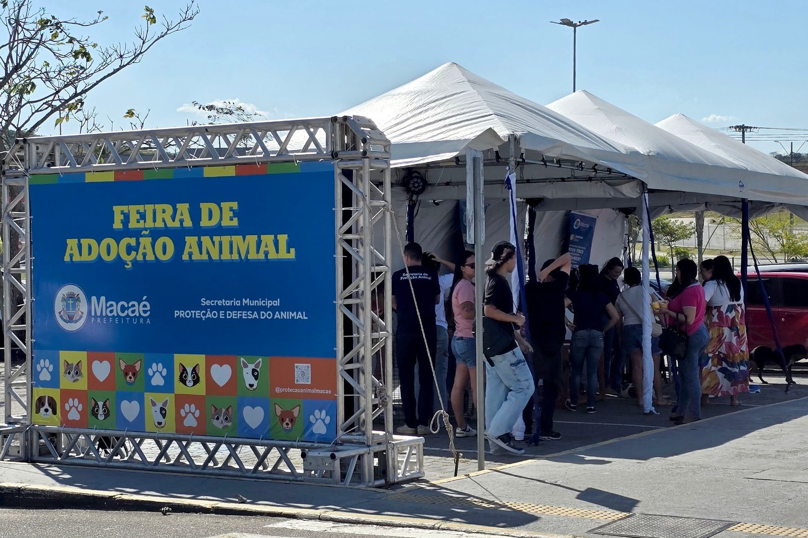 Macaé promove feira de adoção animal neste sábado no Shopping Plaza