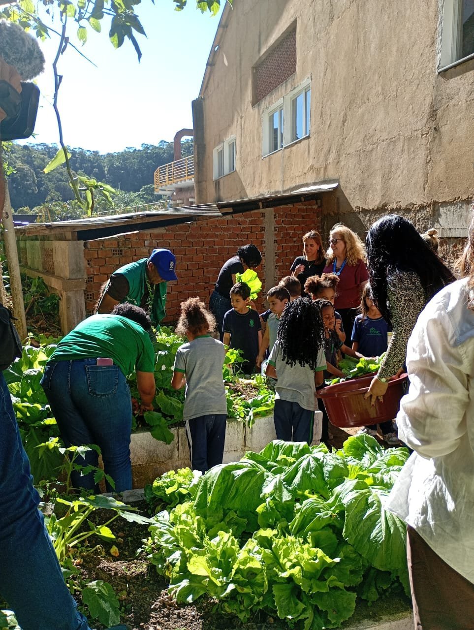 Crianças colhem alimentos de horta didática em escola de Petrópolis
