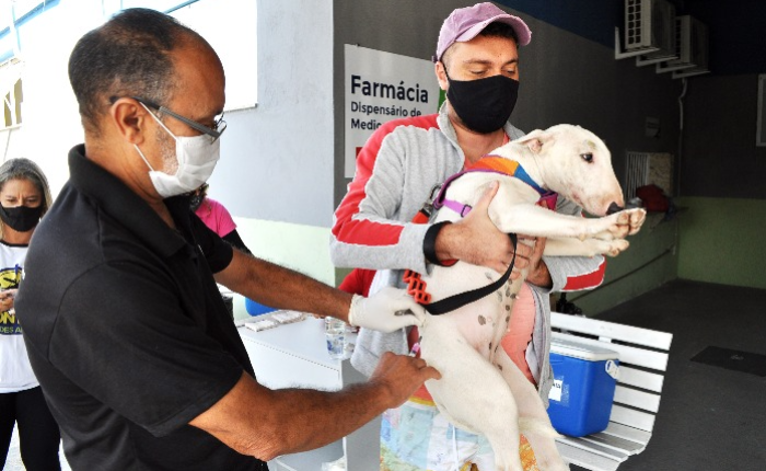 Vacinação antirrábica chega a Engenheiro Passos, em Resende