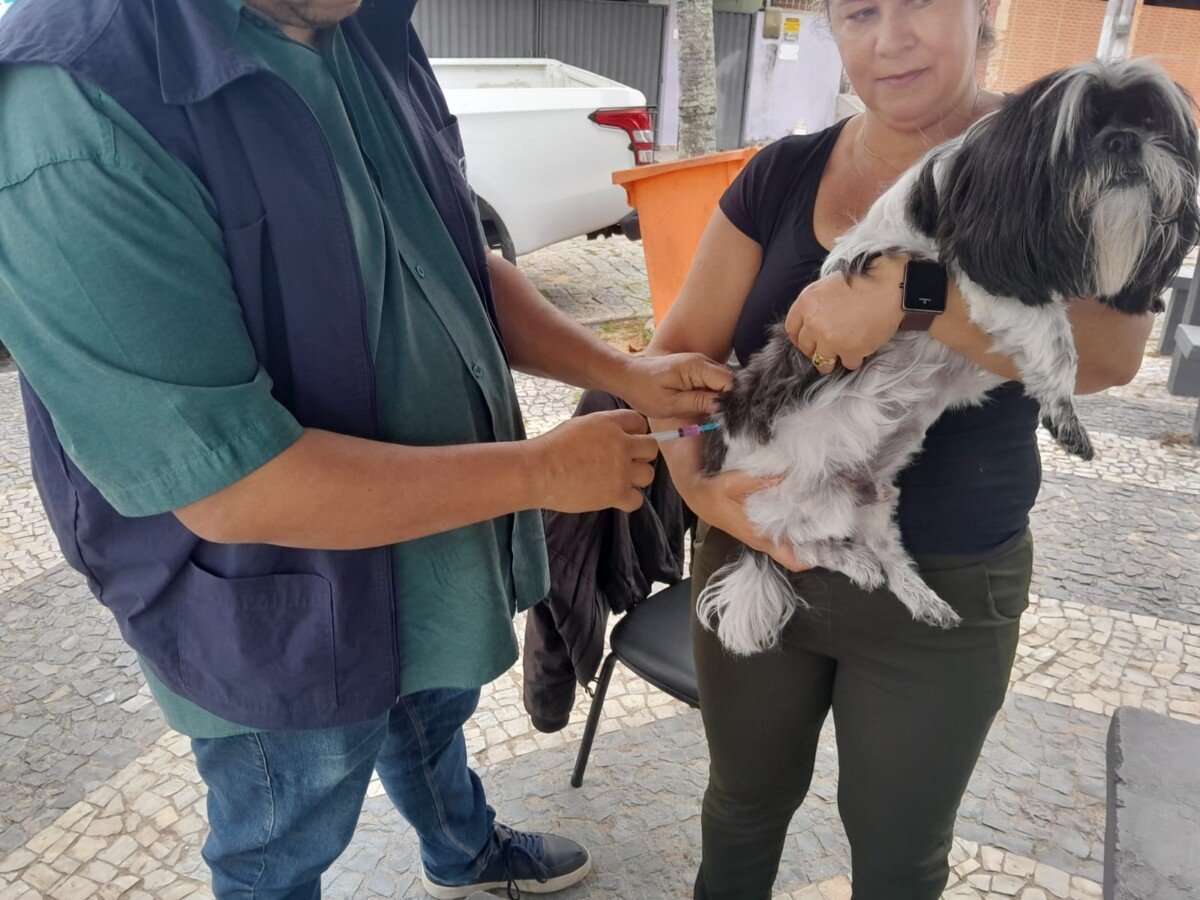 Quissamã vacina 260 cães e gatos contra a raiva em Barra do Furado