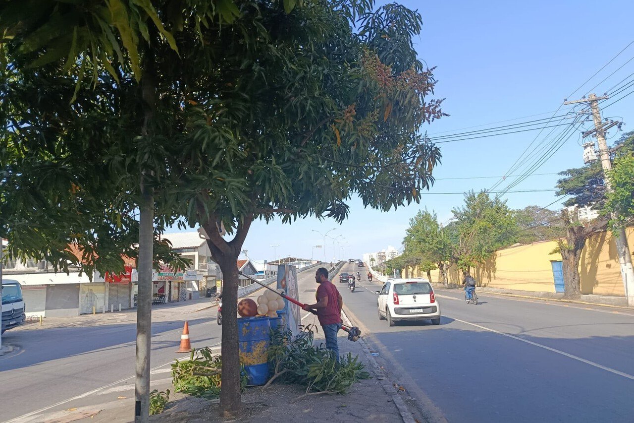 Campos faz manutenção na arborização da Avenida Tancredo Neves