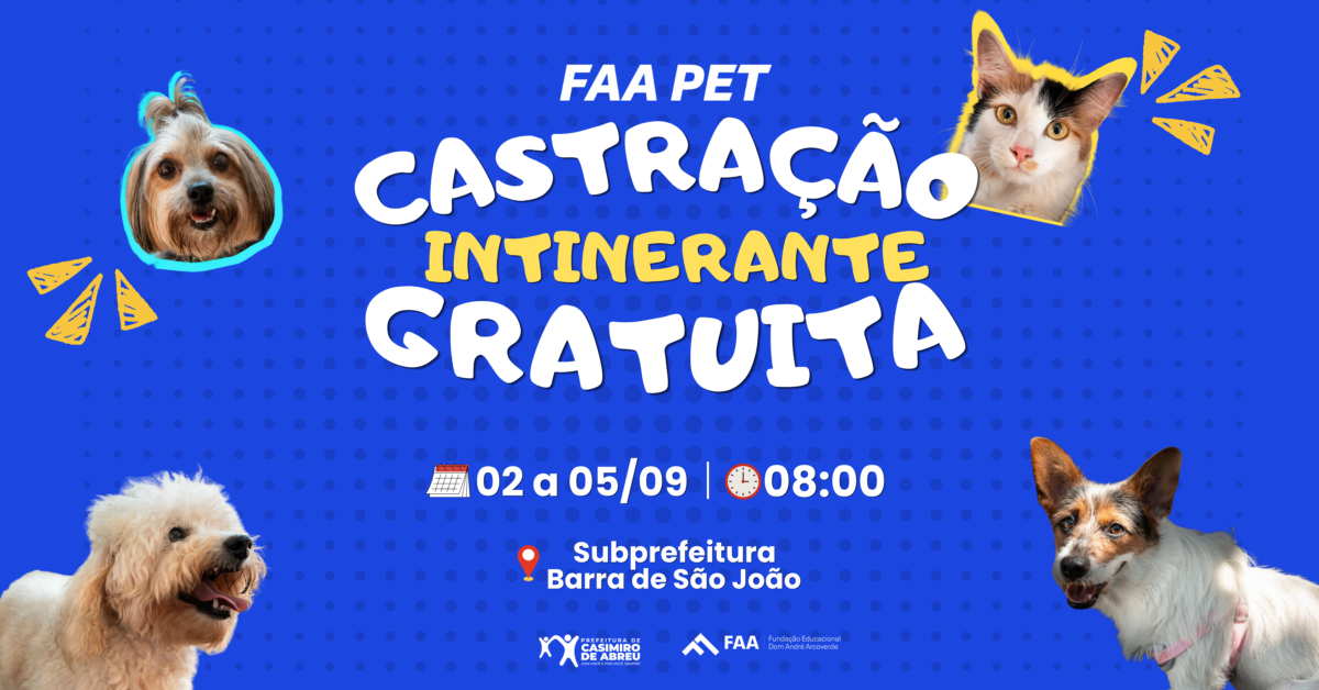 Casimiro de Abreu terá castração gratuita de cães e gatos em Barra de São João