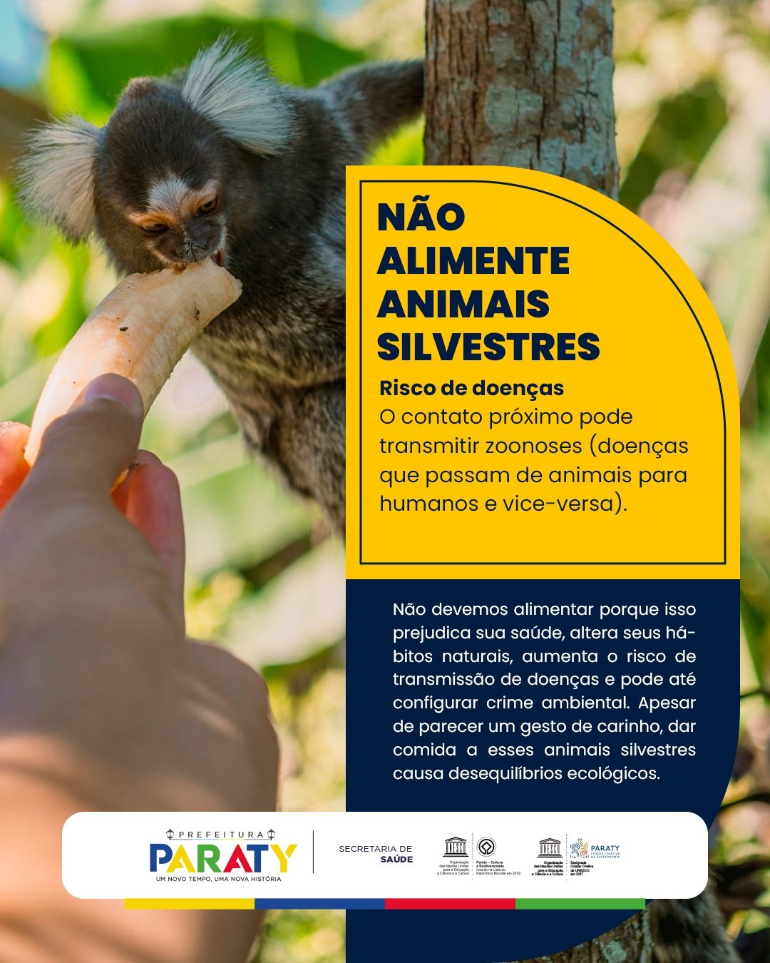 Paraty orienta moradores e turistas a não alimentar animais silvestres