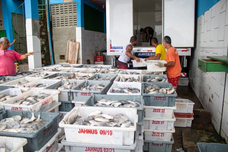 Transporte gratuito de pescado beneficia 105 pescadores em São João da Barra