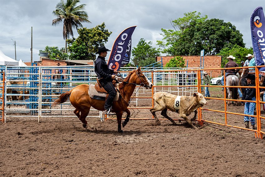 Ranch Sorting reúne 366 duplas e mais de R$ 36 mil em prêmios em São Francisco de Itabapoana
