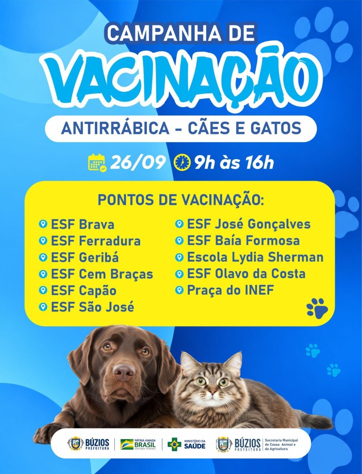 Búzios terá vacinação antirrábica para cães e gatos no sábado, dia 26