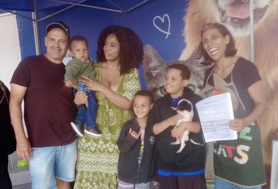 São Pedro da Aldeia tem feira de adoção de cães e gatos às sextas-feiras