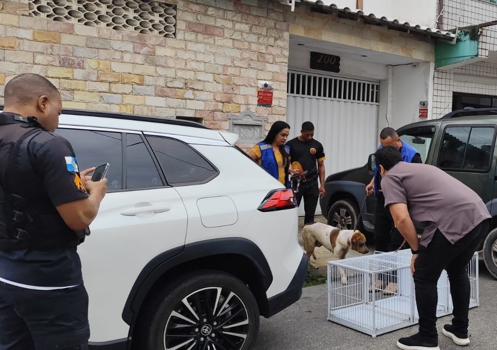 Macaé resgata cães e registra prisão em ações contra maus-tratos