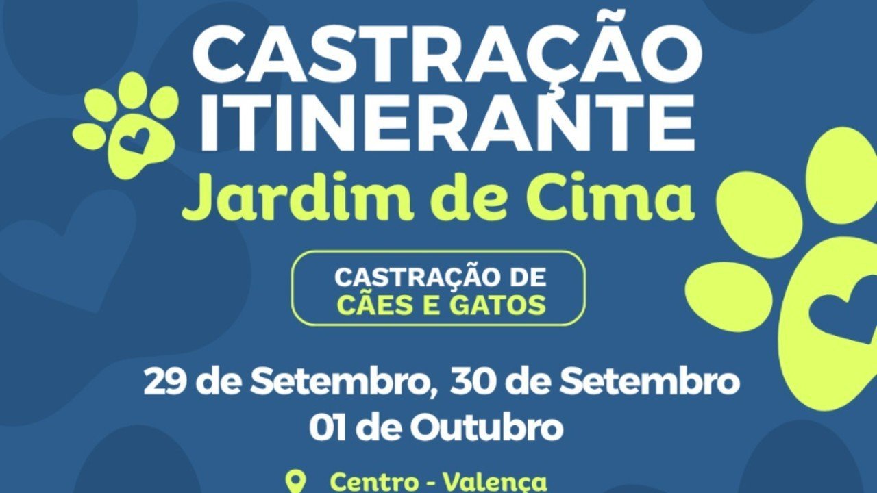 Valença terá castração de cães e gatos no Centro e em São José das Palmeiras
