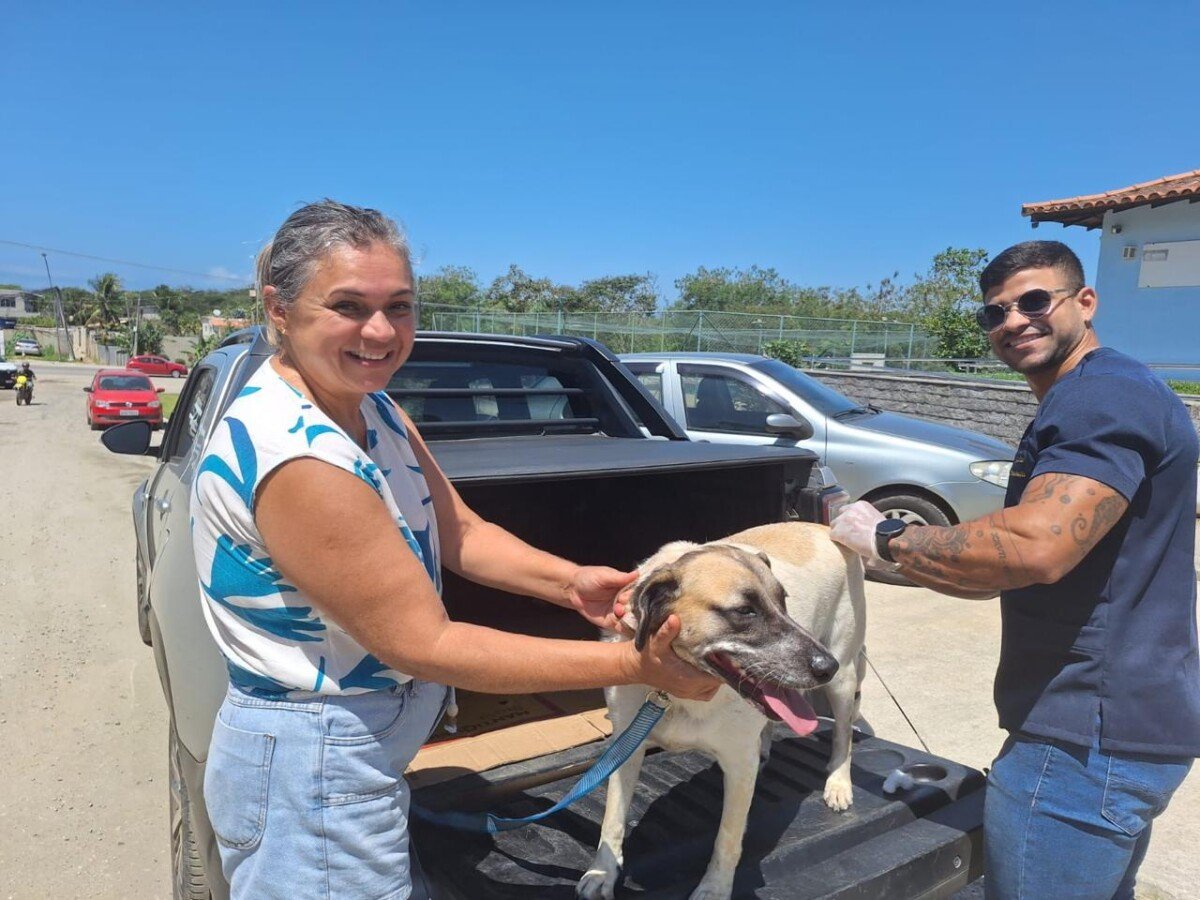 Campanha vacina 3.572 cães e gatos contra a raiva em Búzios