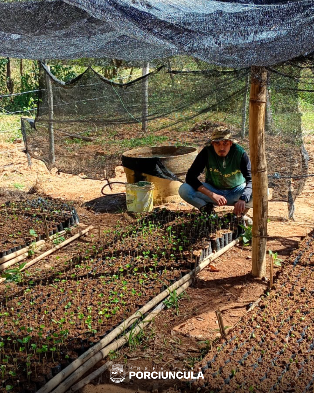 Produtores de café de Porciúncula têm apoio técnico nas lavouras