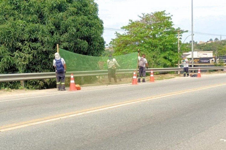 Araruama faz limpeza e roçagem em margens da Rodovia Amaral Peixoto