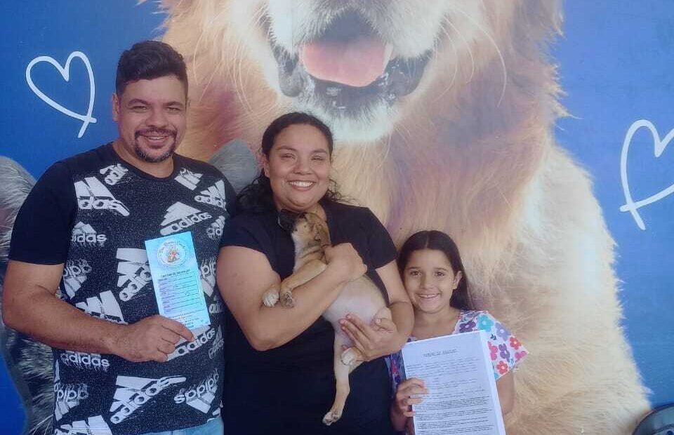 São Pedro da Aldeia tem feira semanal de adoção de cães e gatos