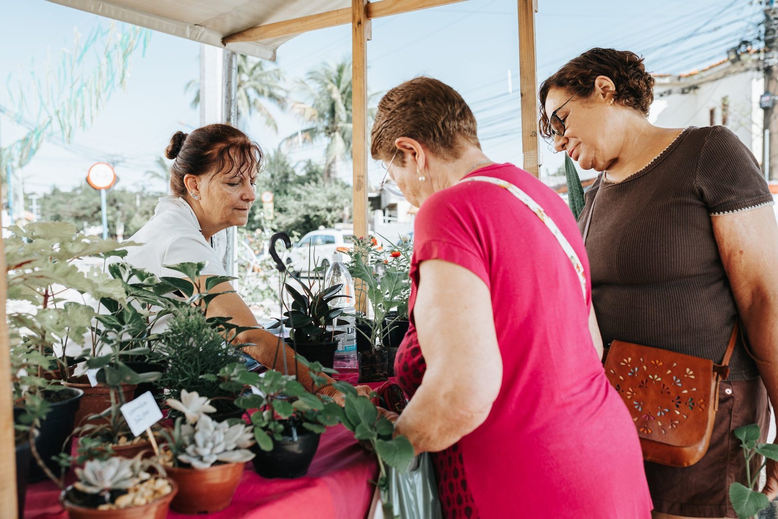 Feira da Agricultura Familiar movimenta Araçatiba, em Maricá