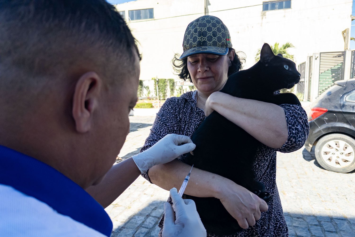 Macaé terá vacinação antirrábica para cães e gatos de 9 a 11