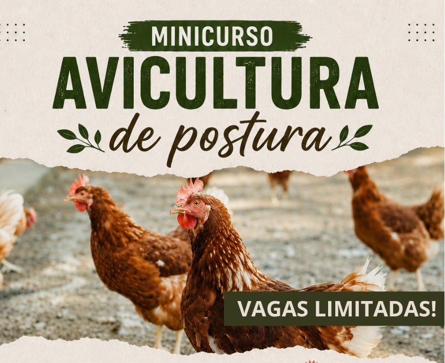 Itaboraí oferece minicurso sobre criação de poedeiras caipiras