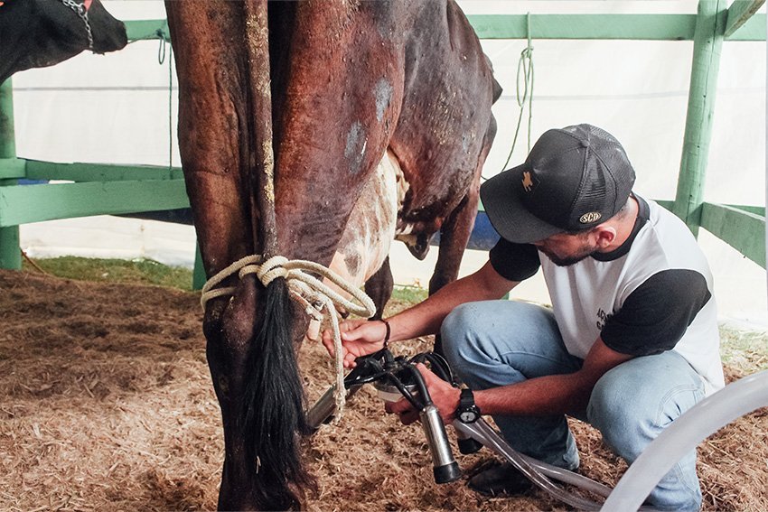 Concurso Leiteiro terá R$ 40 mil em prêmios na ExpoAgro de São Francisco de Itabapoana