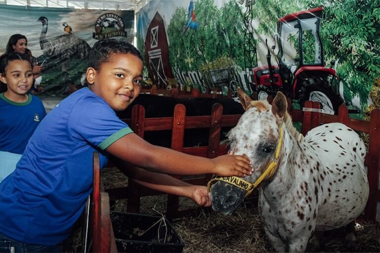ExpoAgro de São Francisco de Itabapoana terá fazendinha com mais de 10 espécies