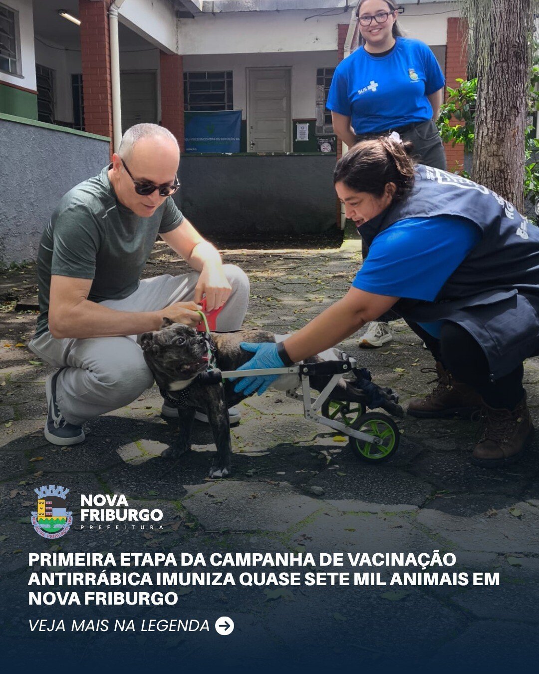 Nova Friburgo vacina 6.898 animais e terá nova etapa antirrábica em 17 de outubro
