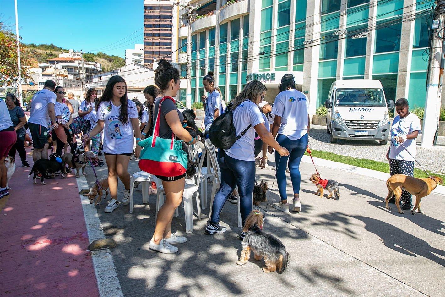 Macaé terá Cãominhada gratuita neste sábado, sem necessidade de inscrição